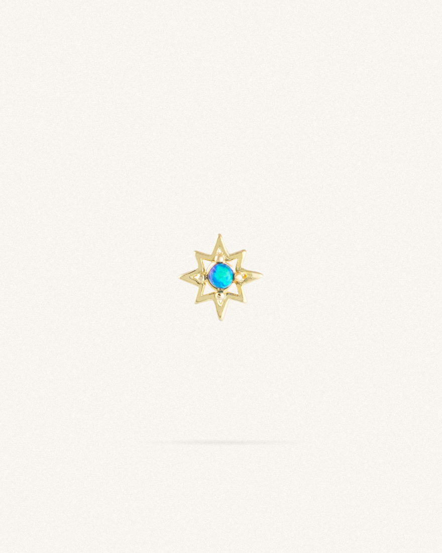 Σκουλαρίκι Καρφωτό Sterling Silver 925 Stary