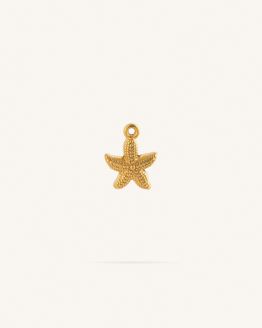 Charm Μικρός Ανάγλυφος Αστερίας